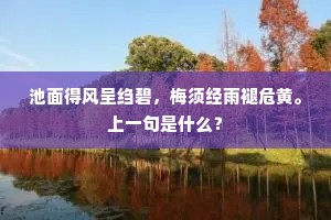 趁苍空天似白亻兼，玩清光月拥银蟾。的解释