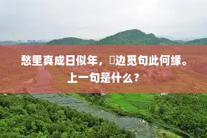遗簪弊屦成语的解释