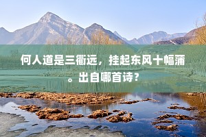 玉箸冰丝，金盘凉蔗，把平生幽愤写。出自哪首诗？