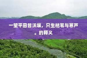 【垂丝钓】风清月白，有感心酸不耐。全诗是什么？
