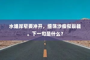 宿西湖梅花飘雪漫山，杨柳和烟放眼。下一句是什么？