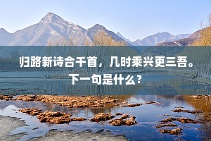 毅然决然成语的拼音