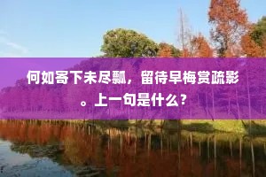 因敌为资成语的拼音