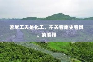 每朝分外说不尽无廉耻，颠狂相爱左。的解释