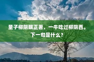 阴阳交错成语的拼音
