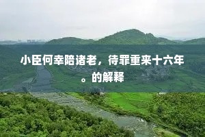 西崦斜阳，东江流水，物华不为人留。的解释