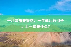 倾国无媒，入宫见妒，古来颦损蛾眉。的解释