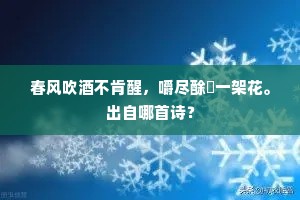 年少才名蜚动，泛星槎、曾到广寒宫。的释义