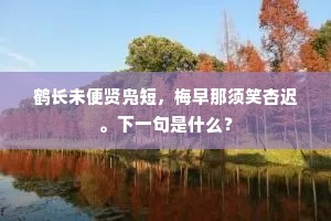 淫朋密友成语的拼音