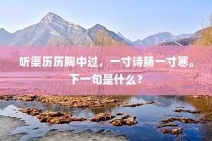 记，见称庐山道人，盖援涪翁山谷例。全诗是什么？