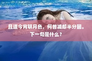 引咎责躬成语的释义