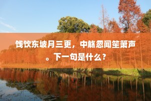 引律比附成语的拼音
