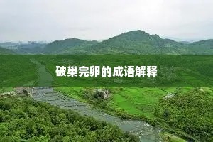 引以为荣成语的拼音