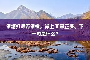 七碗吃不得也，唯觉两腋习习清风生。上一句是什么？