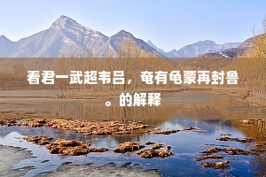 如今只恨因缘浅，也不曾、抵死恨伊。的解释