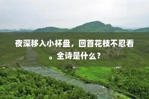 弦断招魂无人赋，但金杯的皪银台润。上一句是什么？