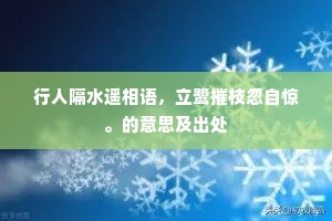 掠岸飞花，傍檐新燕，都似学人无定。的解释