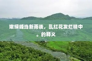 鹊迎桥路接天津，映夹岸、星榆点缀。上一句是什么？