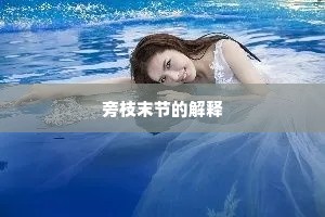 忧国爱民成语的解释