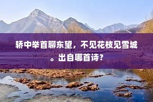 三百年间，功标青史，几多俱委埃尘。的解释