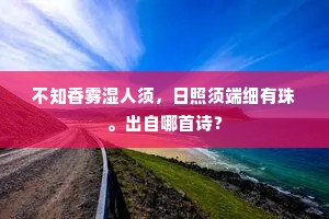 有三有俩成语的拼音