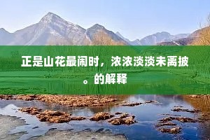 鱼游釜中成语的拼音