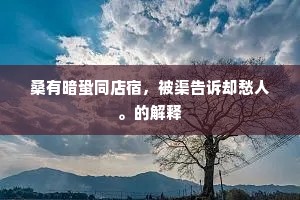 雨帘云栋成语的释义