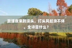 语焉不详成语的拼音
