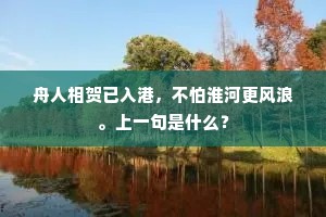 语言无味成语的拼音