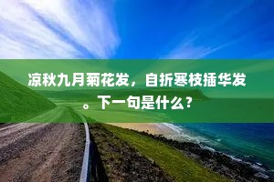 玉圭金臬成语的解释