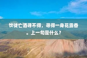 玉洁冰清成语的拼音