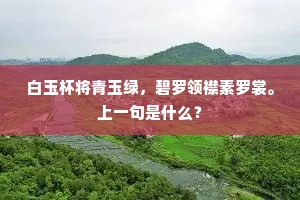 贼人胆虚成语的解释