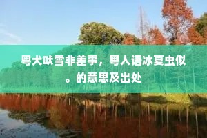 贼子乱臣成语的拼音