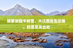 湛湛青天成语的释义