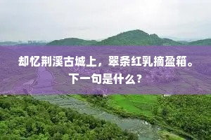 张大其辞成语的解释