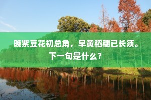 张皇其事成语的拼音