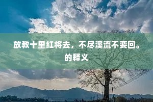 张眉努眼成语的释义