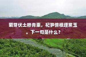 彰往考来成语的解释