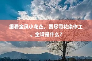 杖履相从成语的拼音