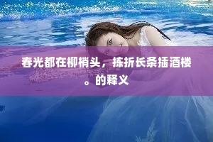 招风惹雨成语的释义