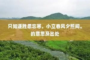 志美行厉成语的解释
