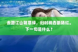 智穷才尽成语的释义