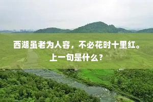 众虎同心成语的拼音