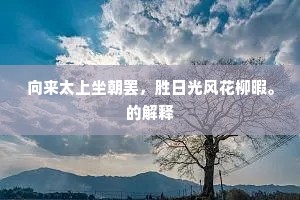 自出一家成语的拼音