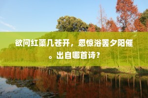 自卖自夸成语的拼音