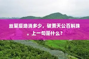 自我作故成语的拼音