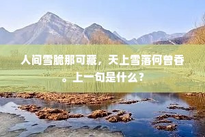总而言之成语的拼音