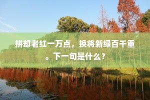 纵横开合成语的拼音