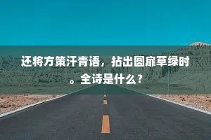 邹缨齐紫成语的解释