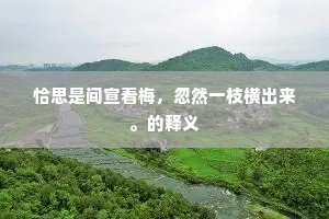 走漏天机成语的解释